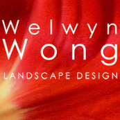 Welwyn Wong